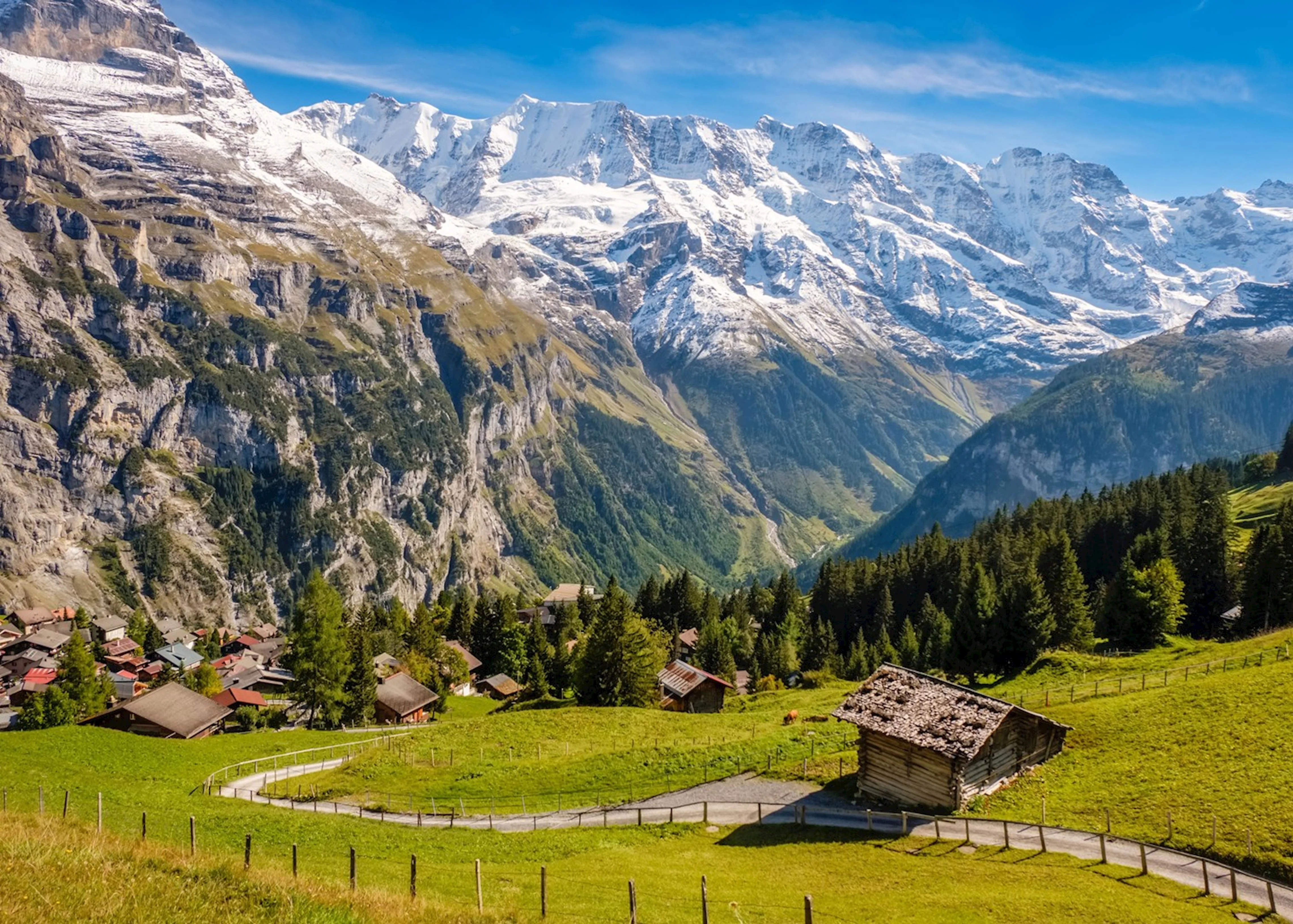 Bernese-Oberland.webp