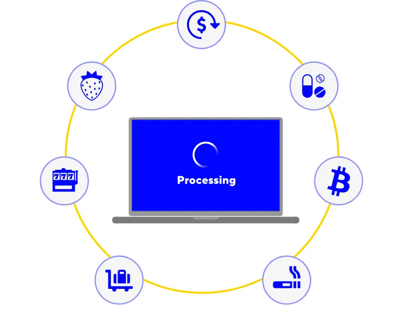 Concept of High Risk Payment Processing.png