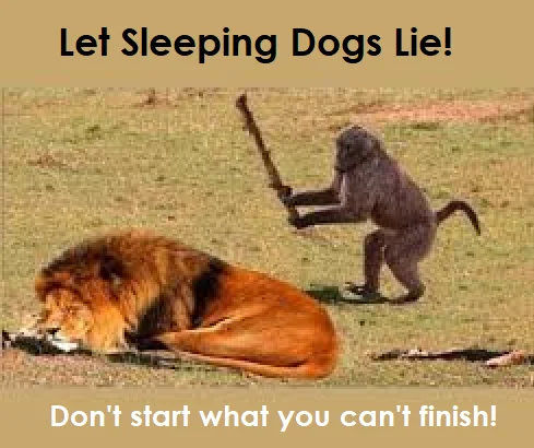 Let sleeping dogs lie - dont start what you cant finish.webp